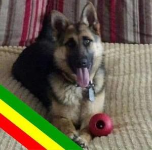 Meet your Posher, Jack